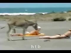 yavas sexfilme kostenlos online diyor
